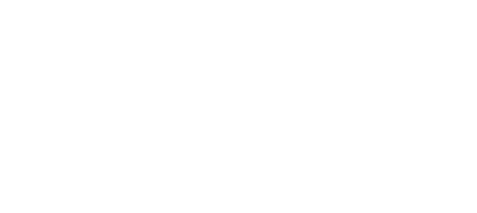 logo licimend